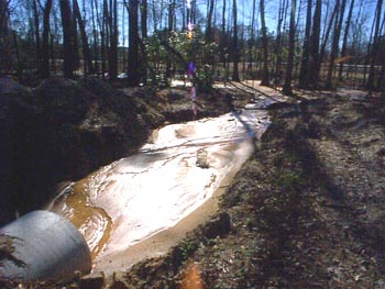 spill into woods Photo